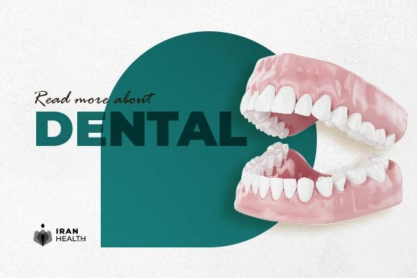 Dental categories