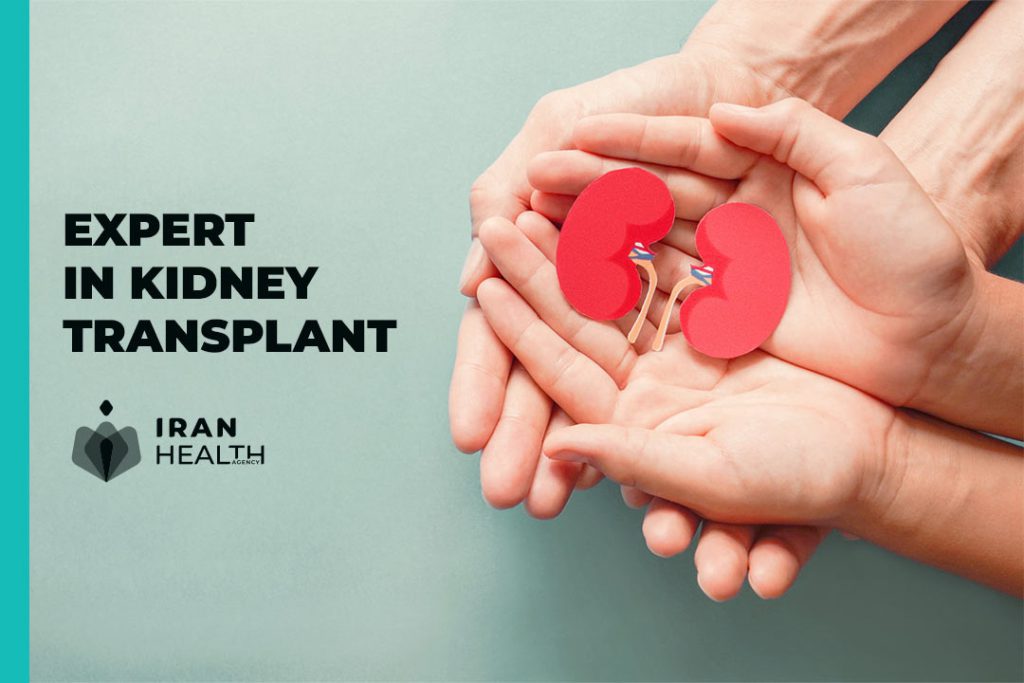Expert in Kideny Transplant 