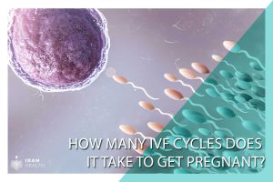 How Many IVF Cycles Does It Take to Get Pregnant?