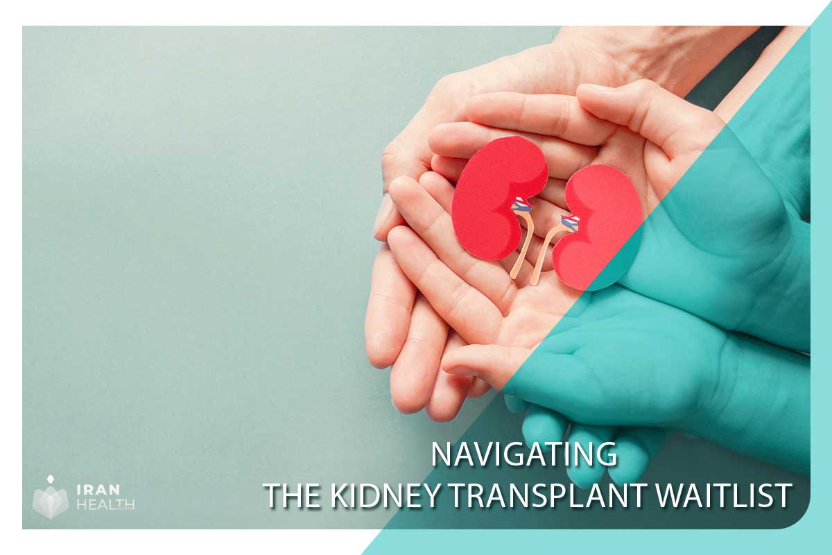 Navigating the Kidney Transplant Waitlist