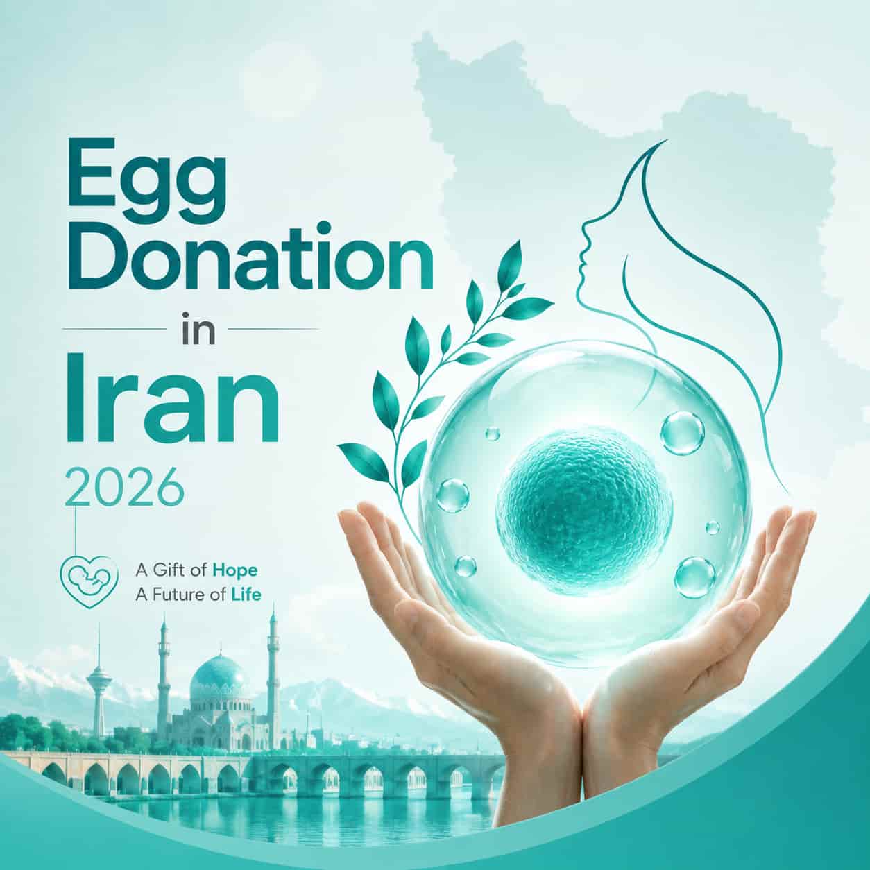 Egg Donation in Iran 2026
