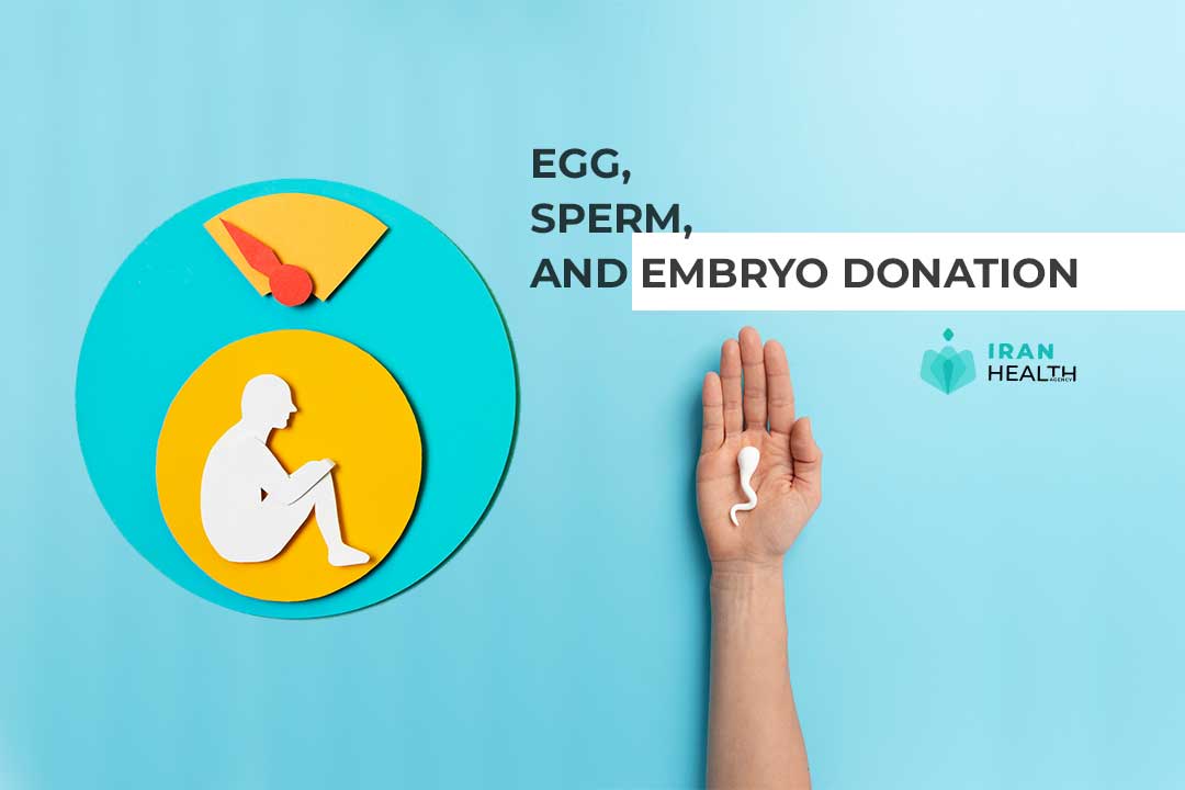 Egg, Sperm, and Embryo Donation