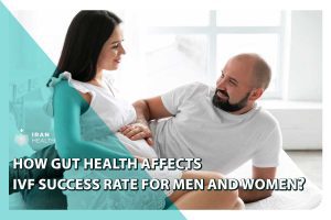 How Gut Health Affects IVF Success rate