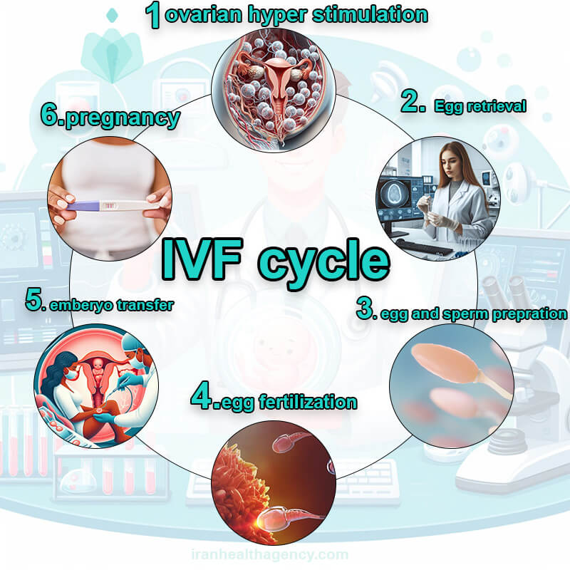 IVF cycles