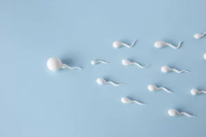 What is the best quality of sperm for IVF?