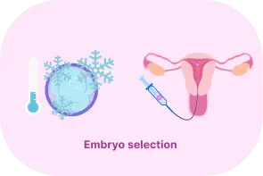 Embryo selection