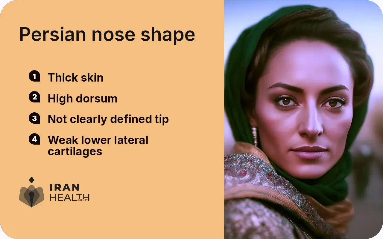 Persian nose shape