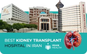 Best kidney transplant hospitals in Iran