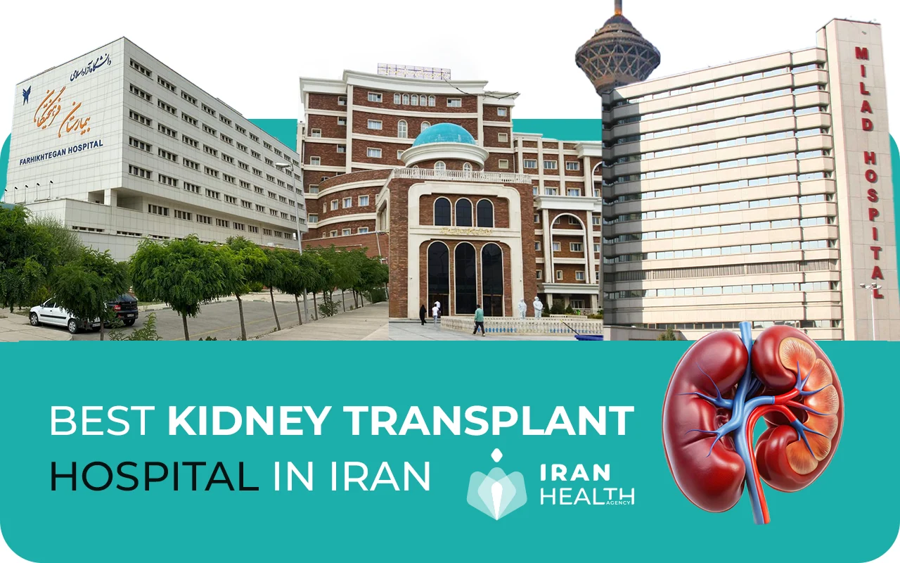 Best kidney transplant hospitals in Iran