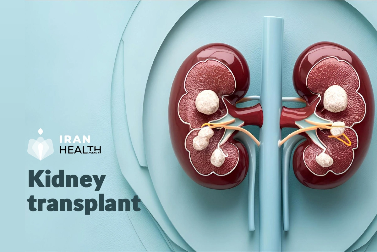 Iran's medical tourism statistics , kidney transplant