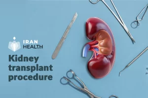 Kidney transplant procedure