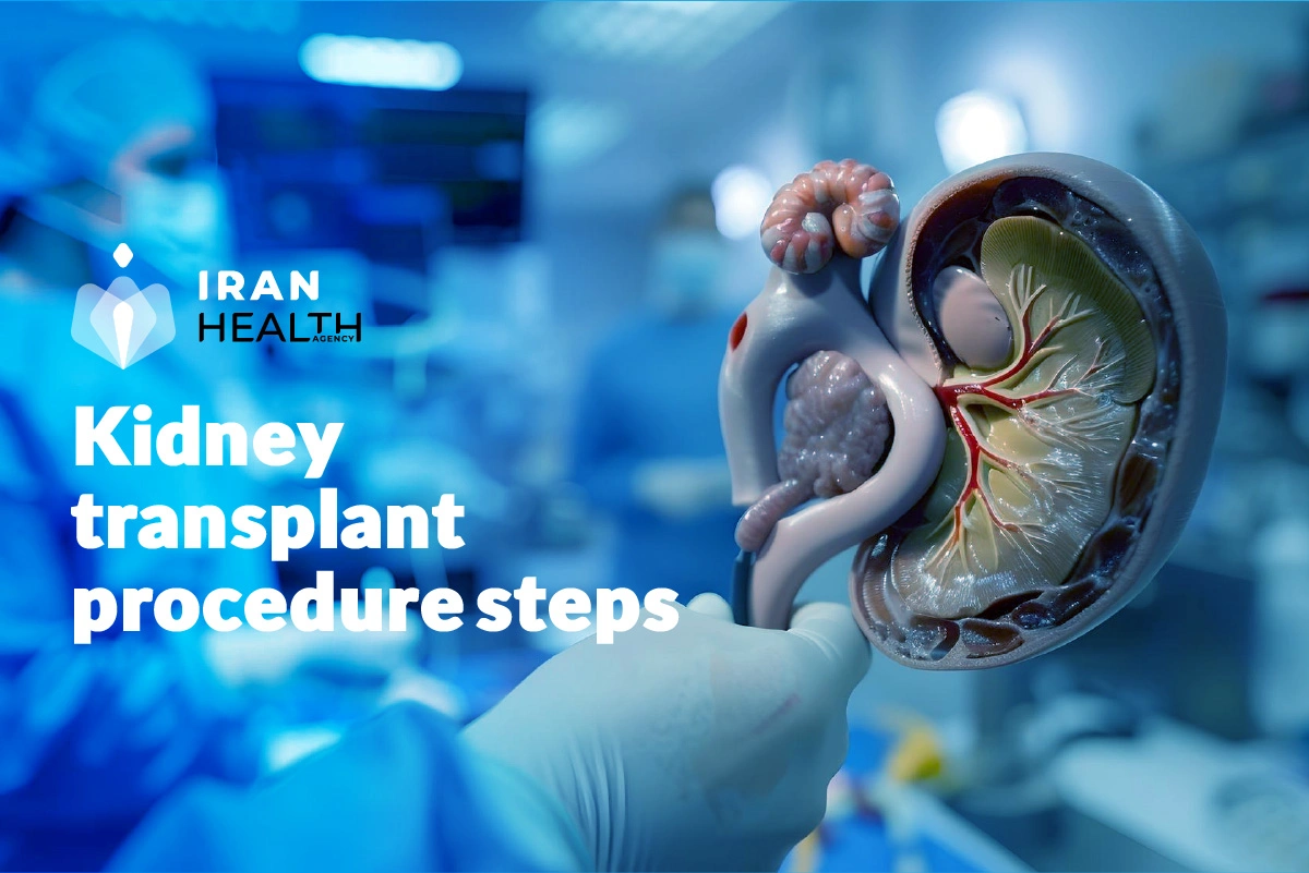 Kidney transplant procedure steps