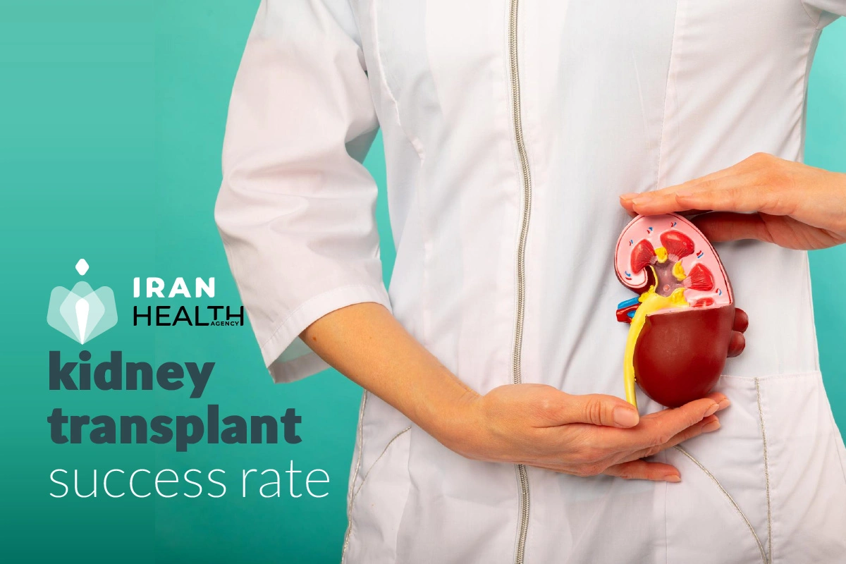 Kidney transplant success rate