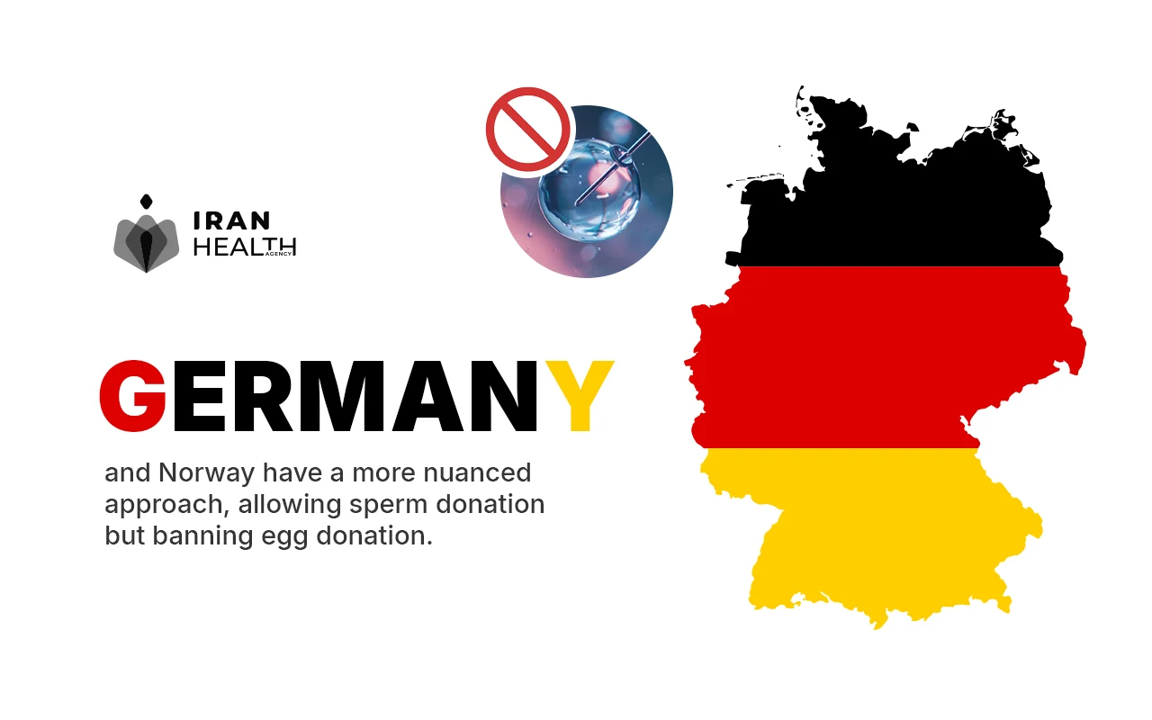 What countries have banned IVF, Germany