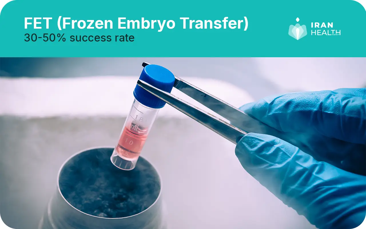 FET (Frozen Embryo Transfer)