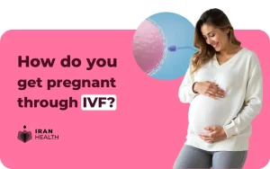 How do you get pregnant through IVF 