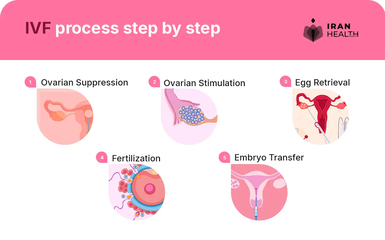 How do you get pregnant through IVF , IVF process step by step