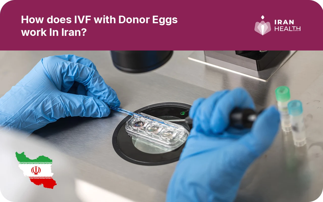 How does IVF with Donor Eggs work In Iran