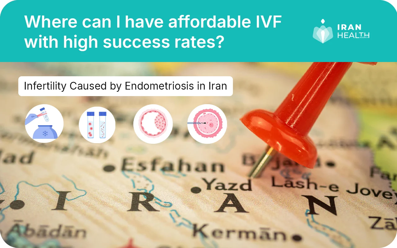 Where can I have affordable IVF with high success rates