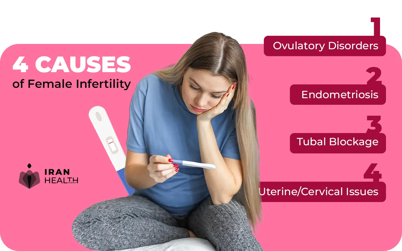 4 Causes of Female Infertility