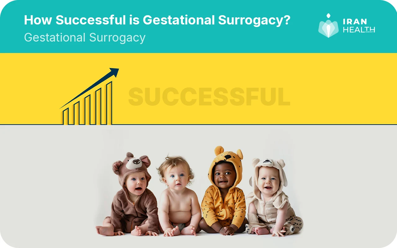 How Successful is Gestational Surrogacy