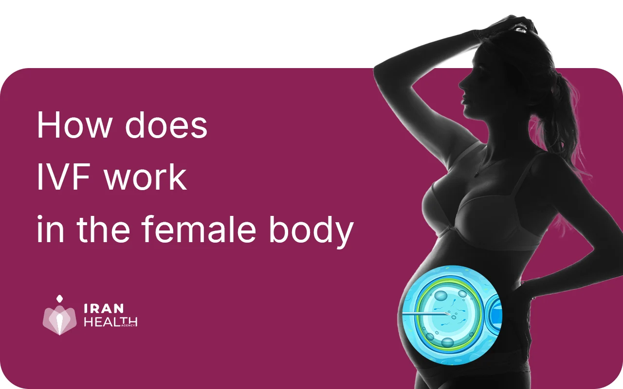 How does IVF work in the female body?