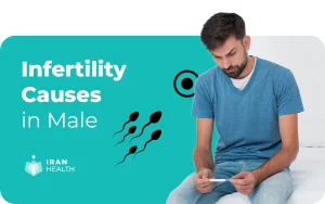 Infertility Causes in Male