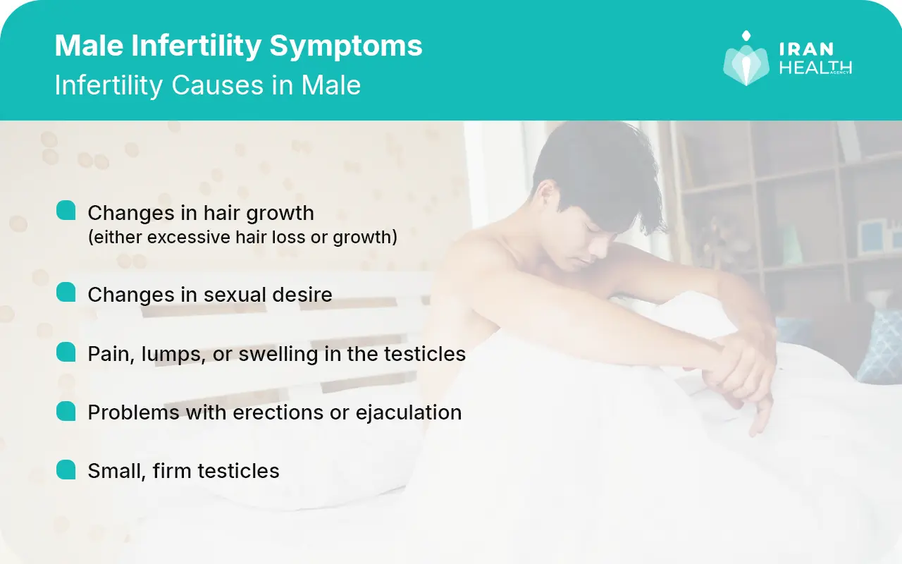 Male Infertility Symptoms