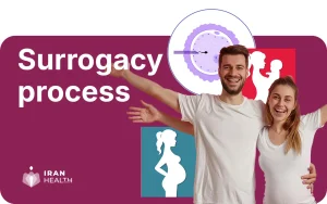 Surrogacy process