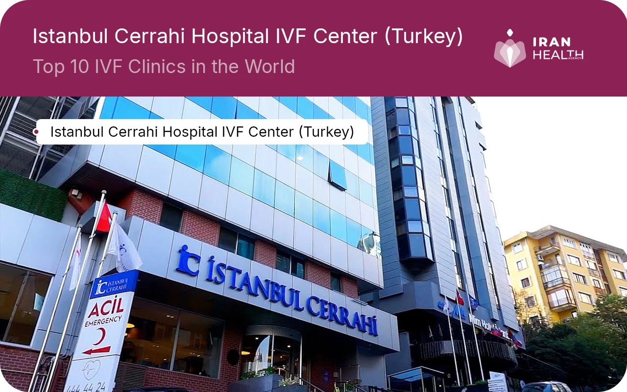 Top 10 IVF Clinics in the World Istanbul Cerrahi