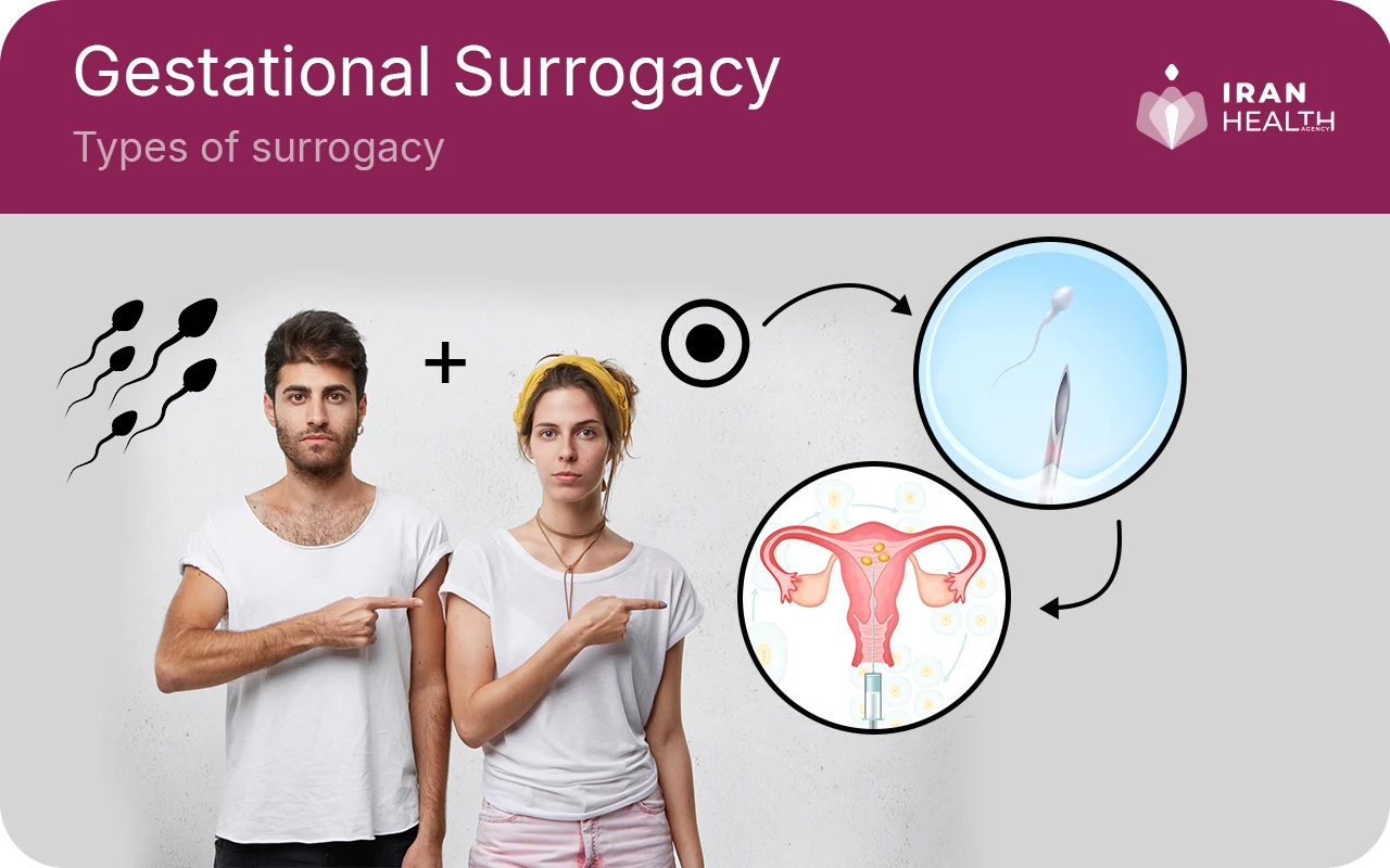 Types of surrogacy, Gestational Surrogacy