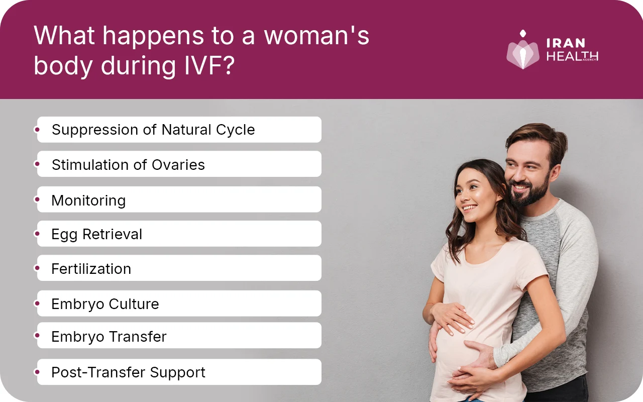 What happens to a woman's body during IVF