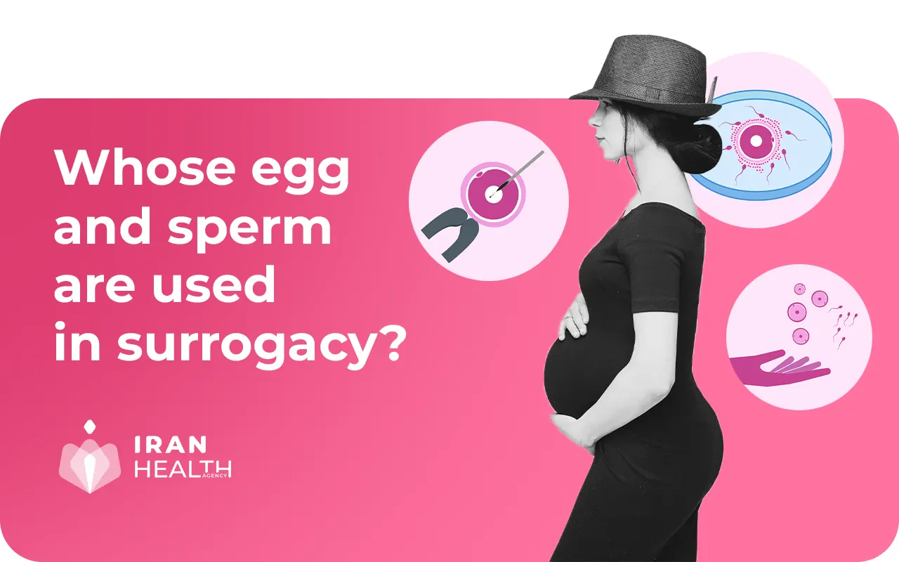 Whose egg and sperm are used in surrogacy