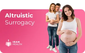 Altruistic surrogacy