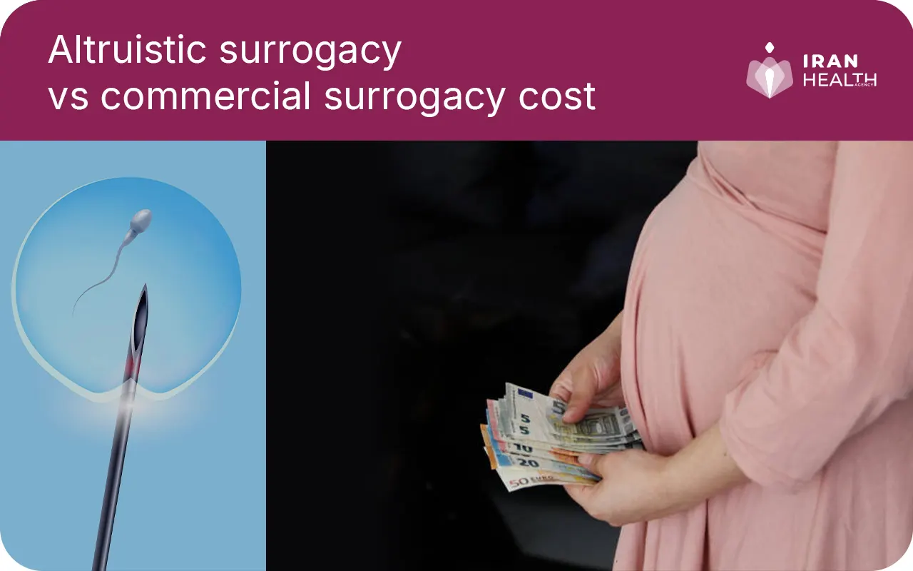 Altruistic surrogacy vs commercial surrogacy cost