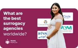 Best surrogacy agencies