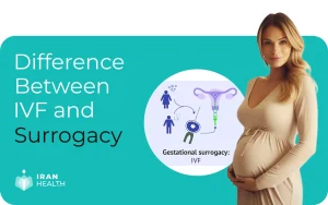 Difference Between IVF and Surrogacy