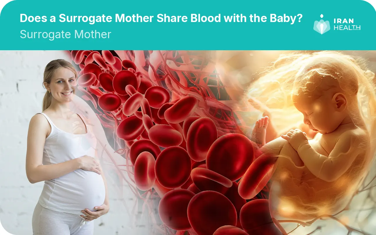 Does a Surrogate Mother Share Blood with the Baby