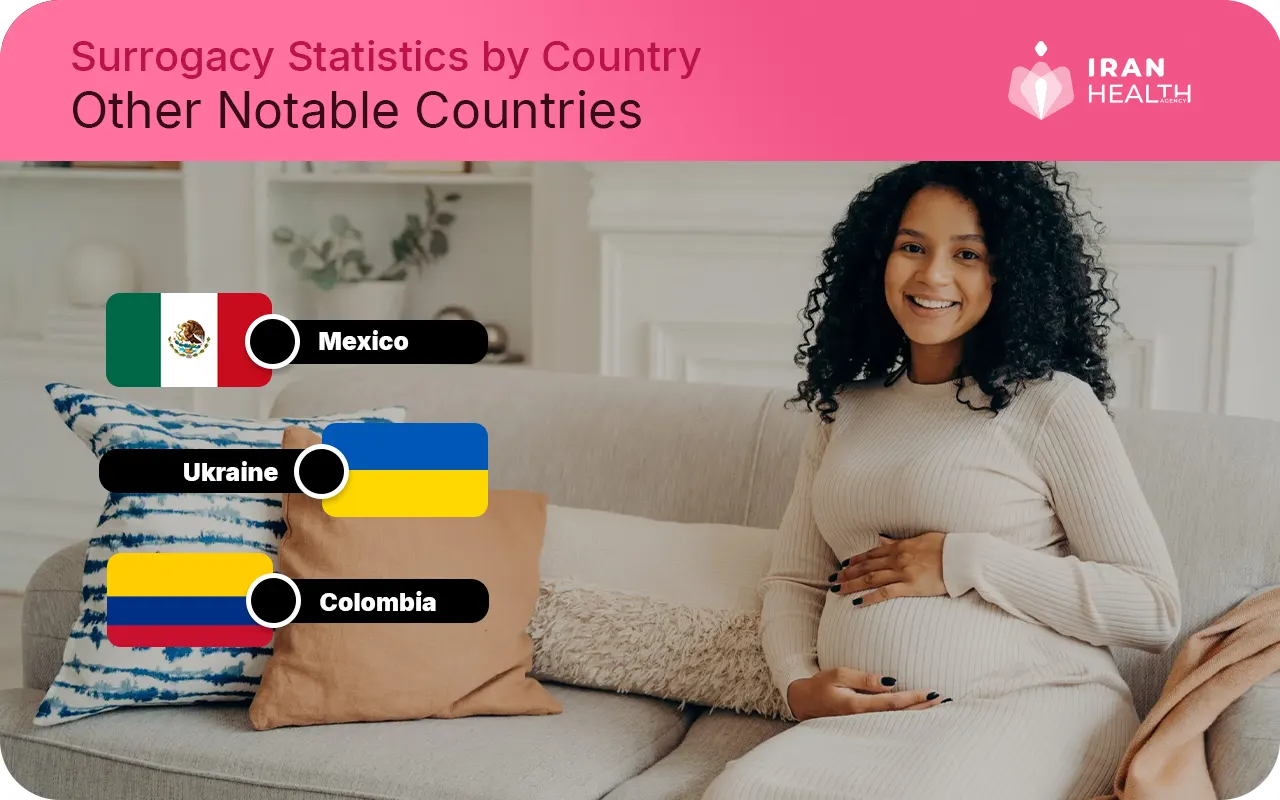 Surrogacy Statistics by Country other notable countries