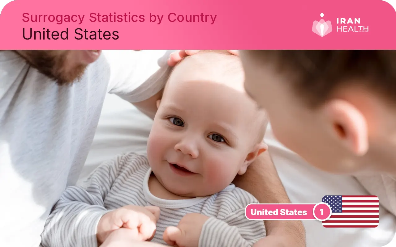 Surrogacy Statistics by Country usa