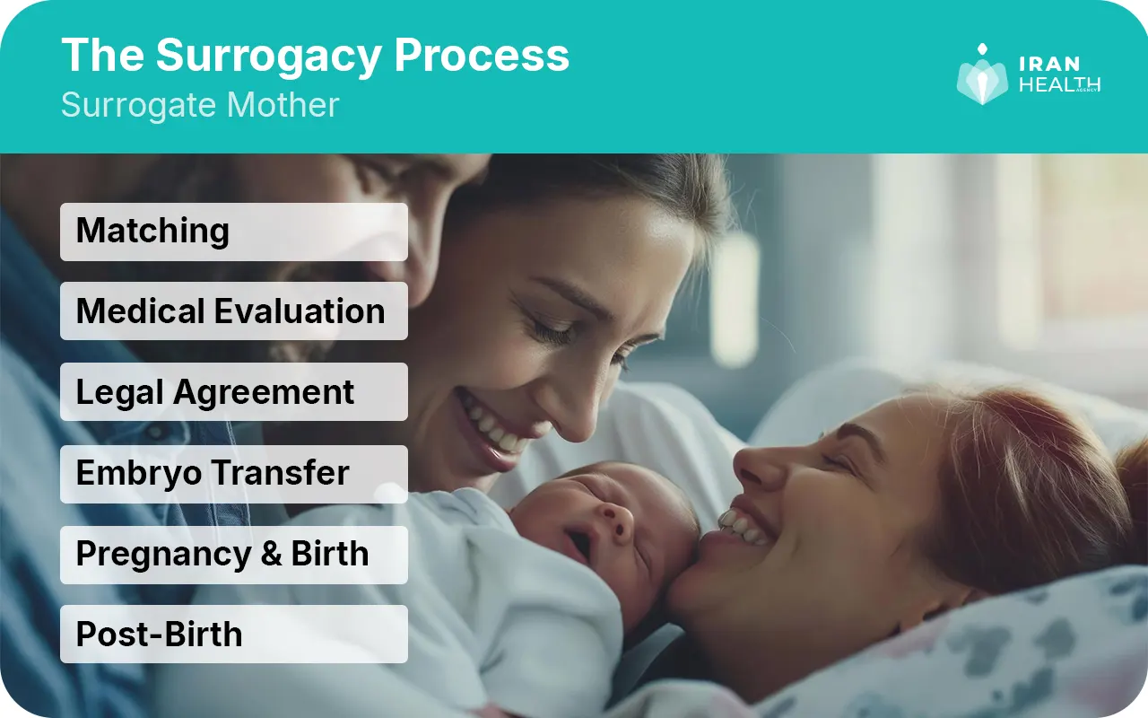 Surrogacy process