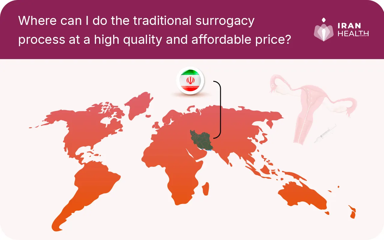 Where can I do the traditional surrogacy process at a high quality and affordable price 