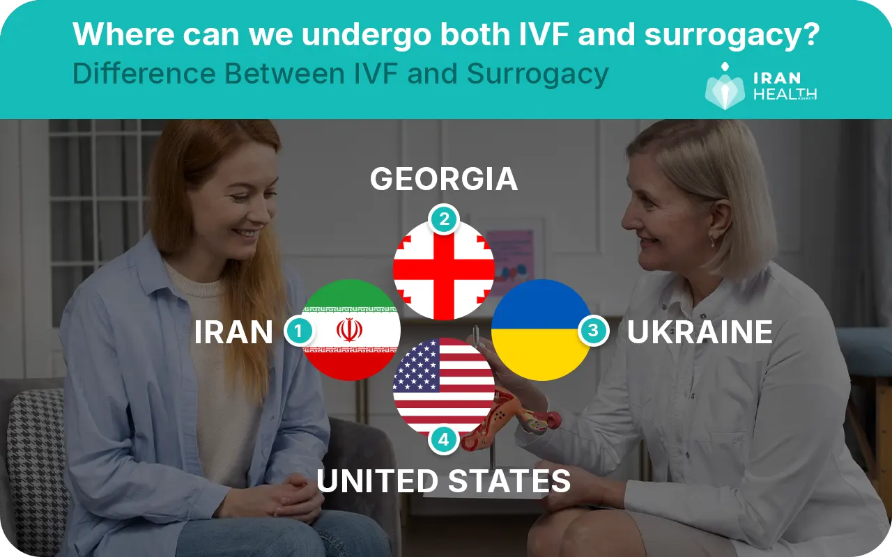 Where can we undergo both IVF and surrogacy