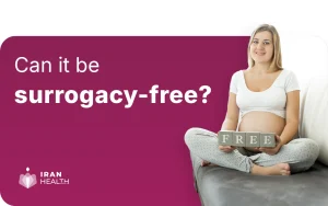 Can it be surrogacy-free 