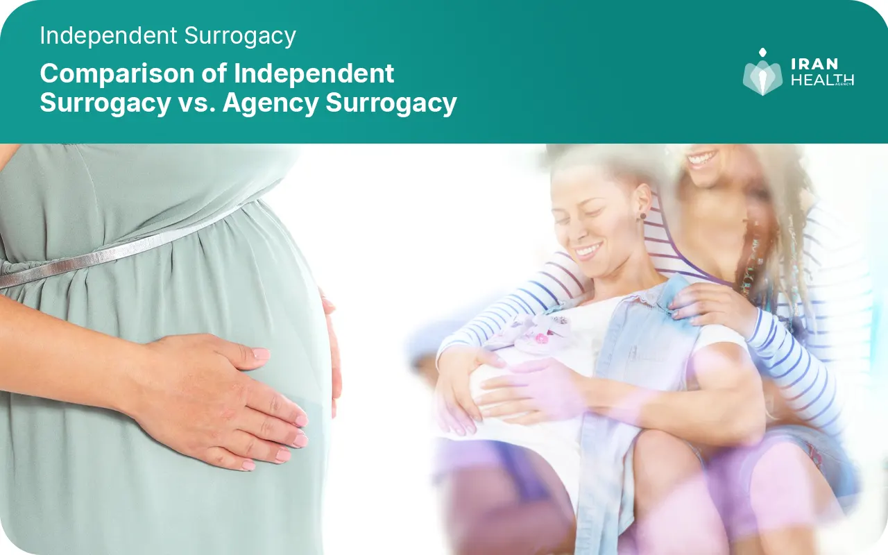 Comparison of Independent Surrogacy vs. Agency Surrogacy