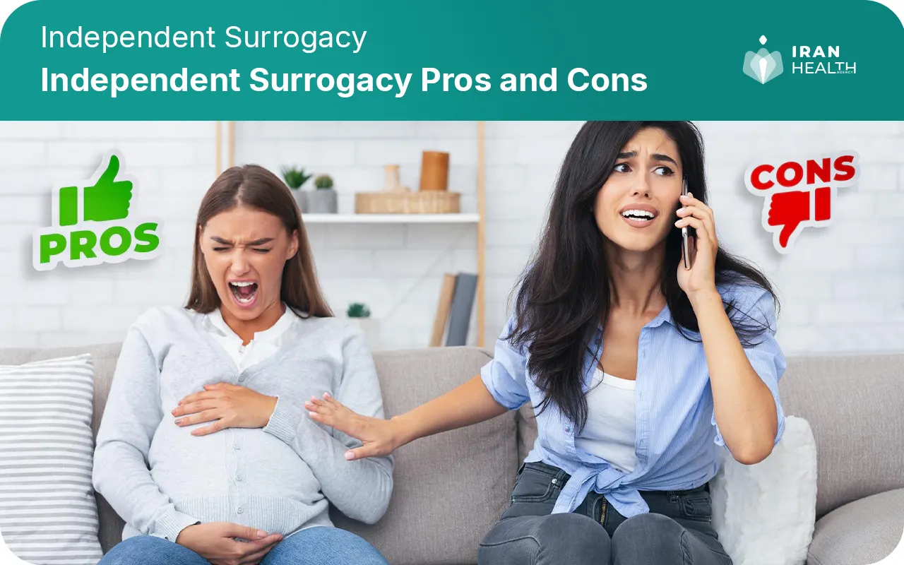 Independent Surrogacy Pros and Cons