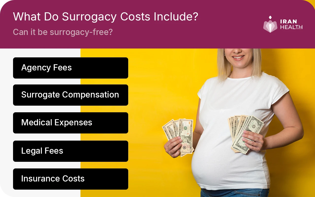 What Do Surrogacy Costs Include