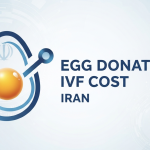 What are Egg Donation Cost In Iran?