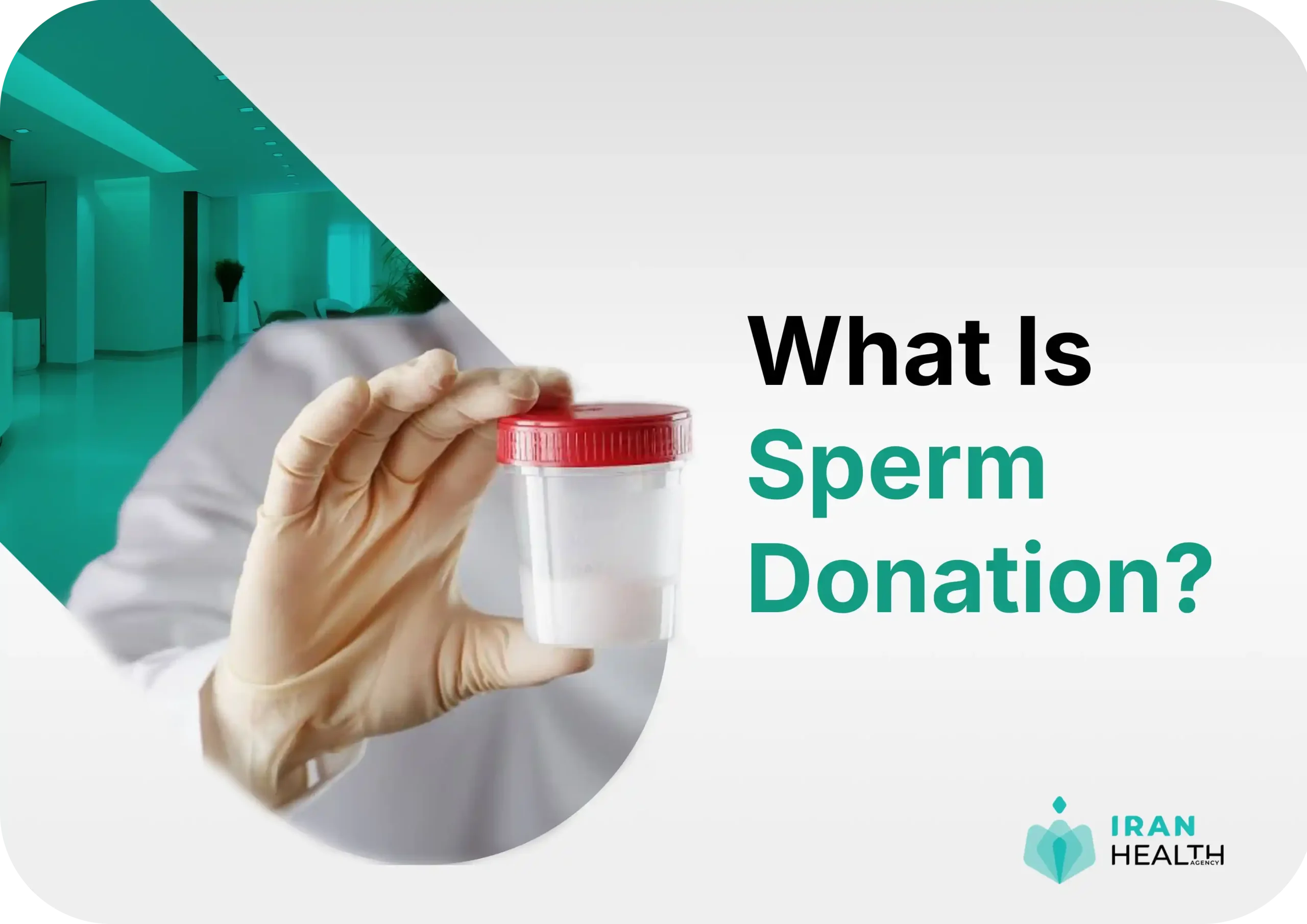 What Is Sperm Donation